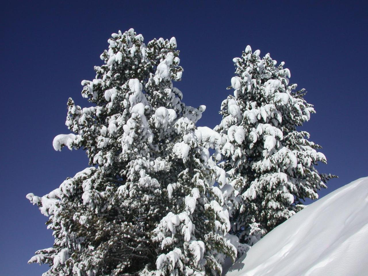 Seiblishof Superior Hotel Ischgl Zewnętrze zdjęcie